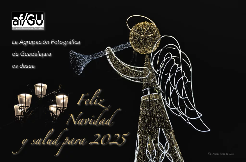 FELICITACION NAVIDAD 2024